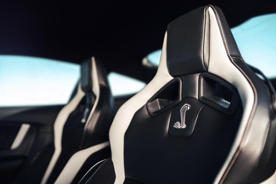 Детали интерьера Ford Mustang Shelby GT500 2019 года  (фото 114 из 119)